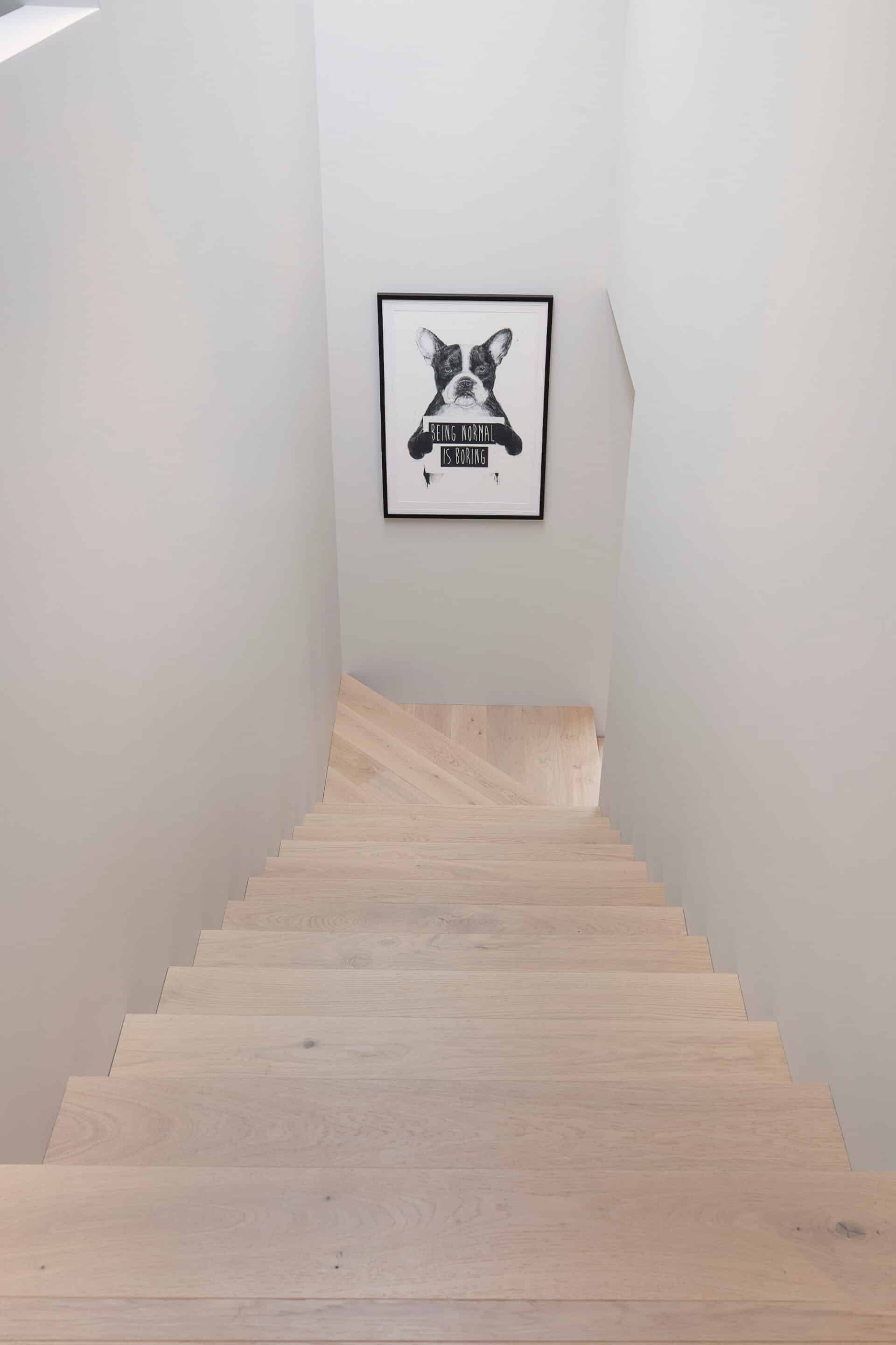 What to Expect When Installing Engineered Timber Flooring