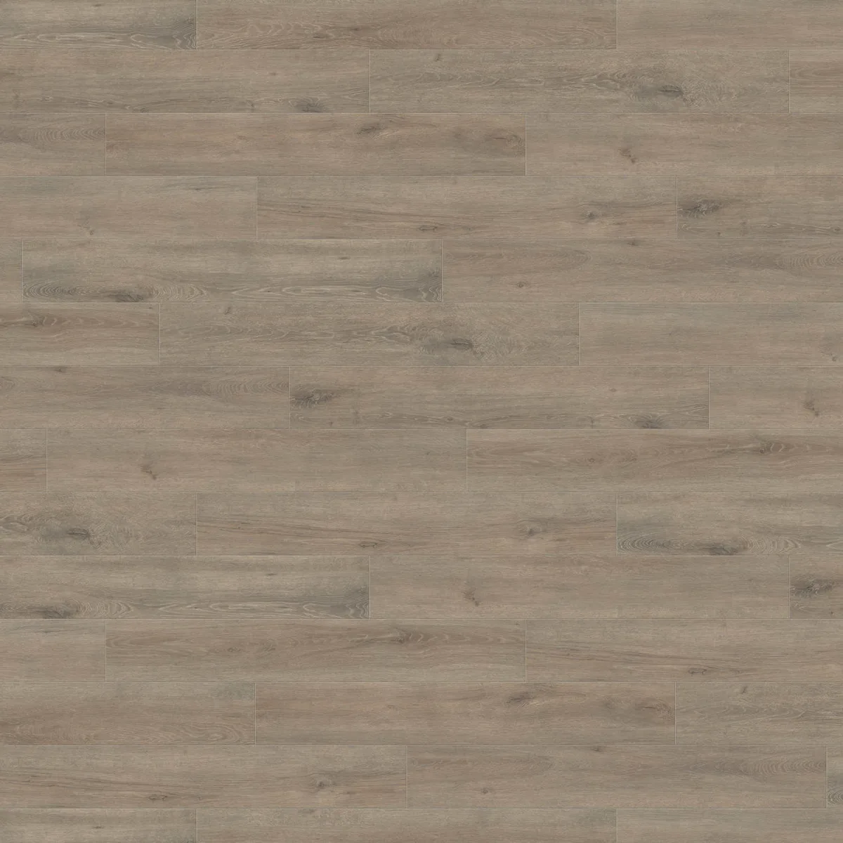 Oak Veneto Mocca HARO laminate flooring