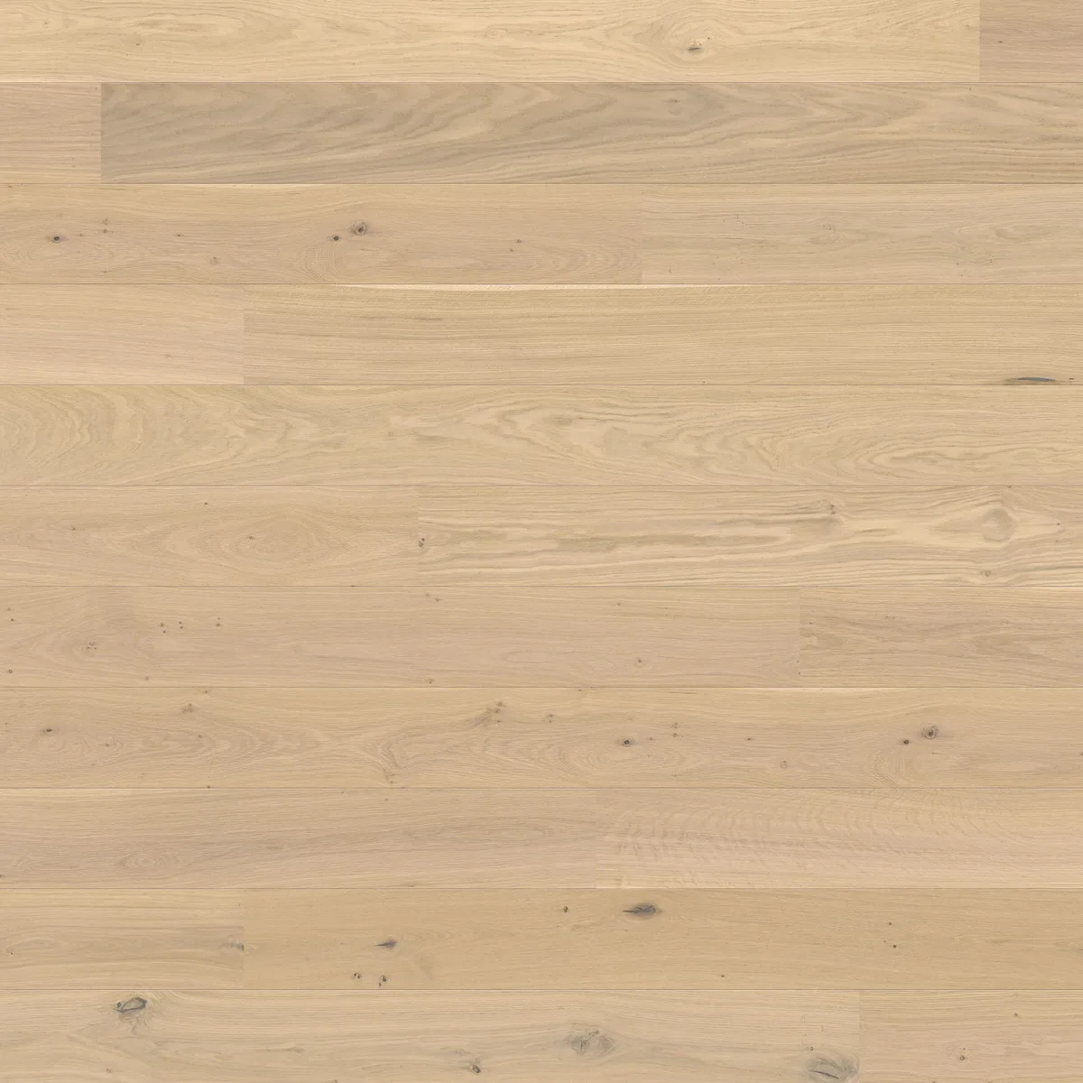Oak Puro White Universal HARO 2500 Series wall and ceiling panel