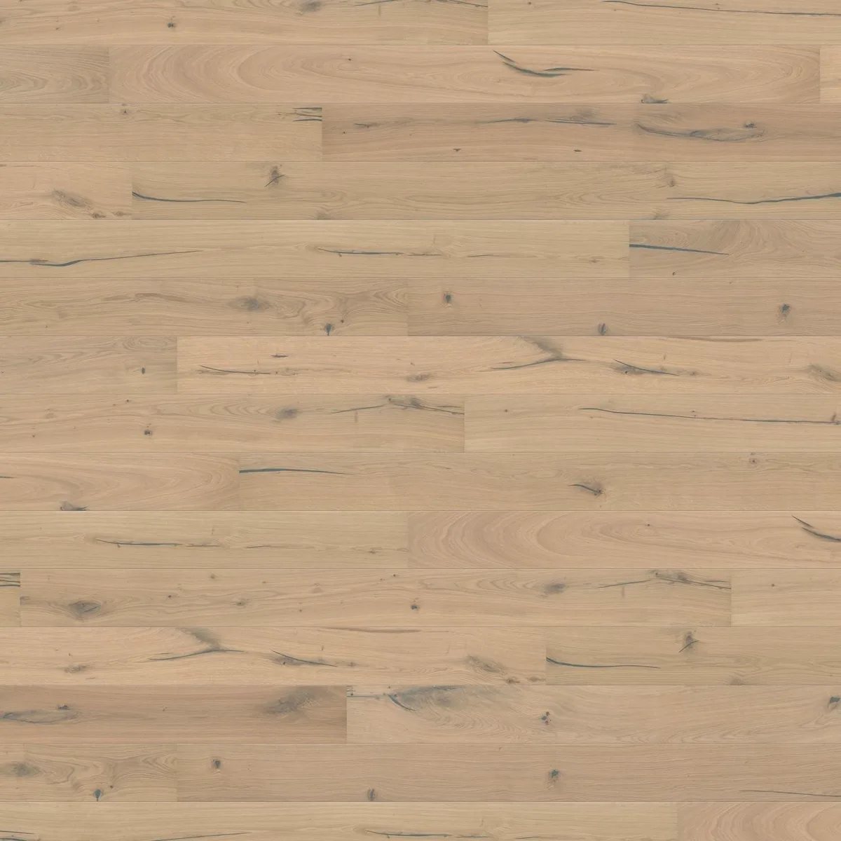 Oak Puro White Alabama HARO 2500 Series wall and ceiling panel