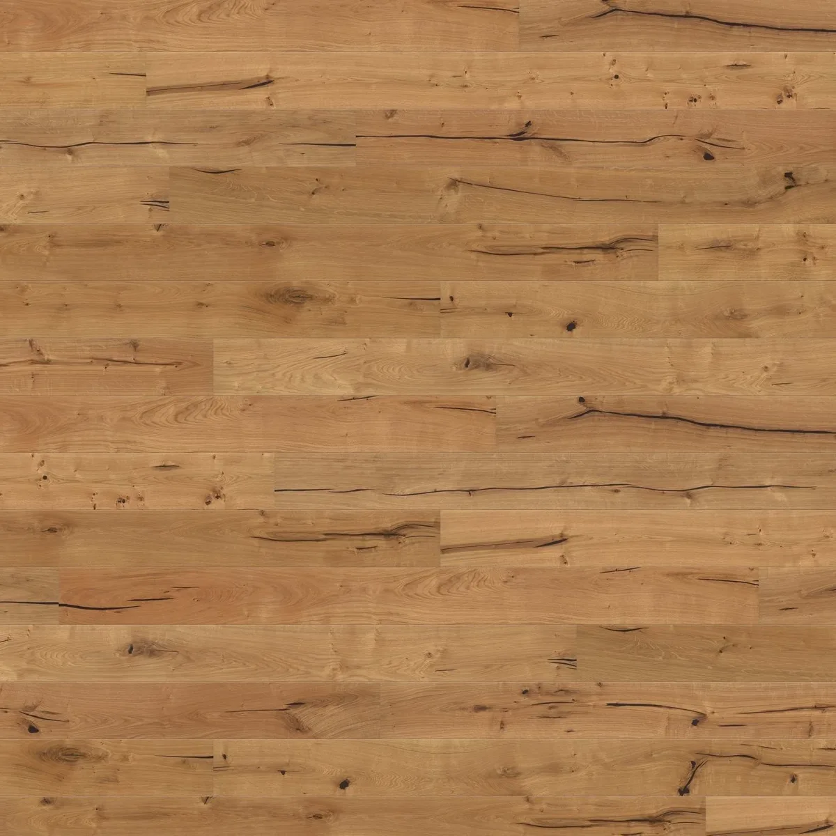 Oak Alabama HARO 2500 Series wall and ceiling panel