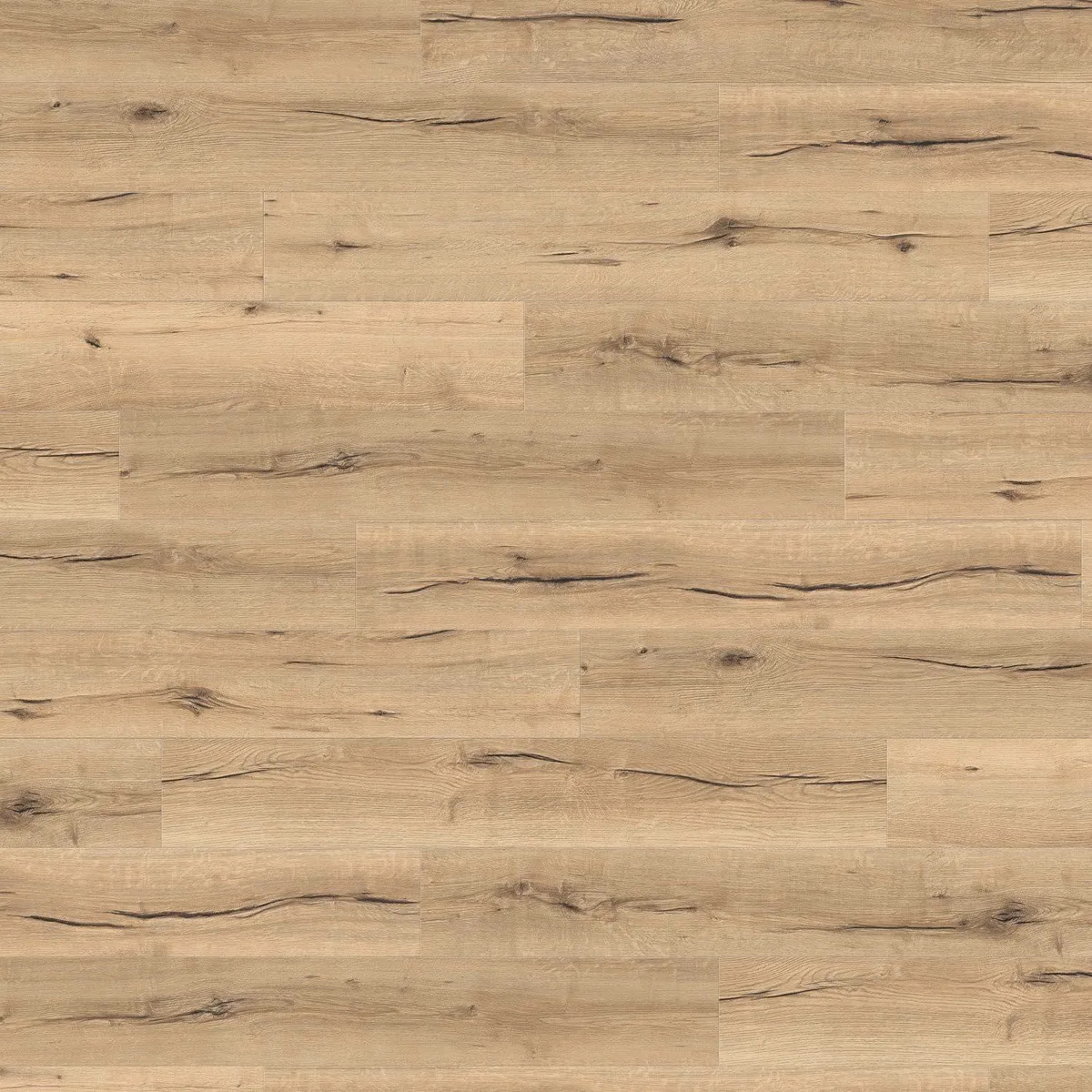 Oak Italica Creme HARO laminate flooring