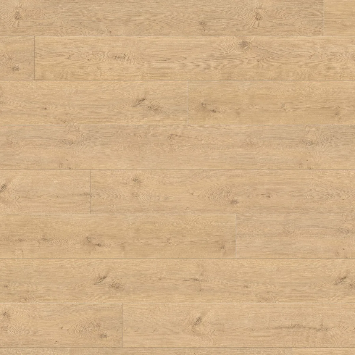 Oak Portland Puro HARO TRITTY 200 Aqua laminate flooring