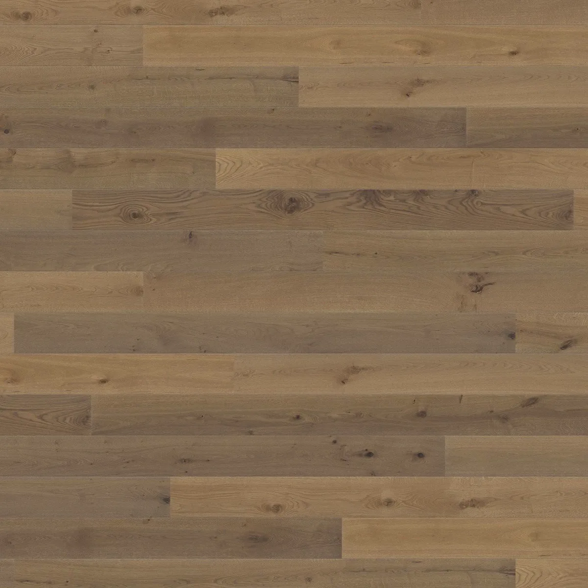 Oak Velvet Brown Universal HARO 2500 Series panel