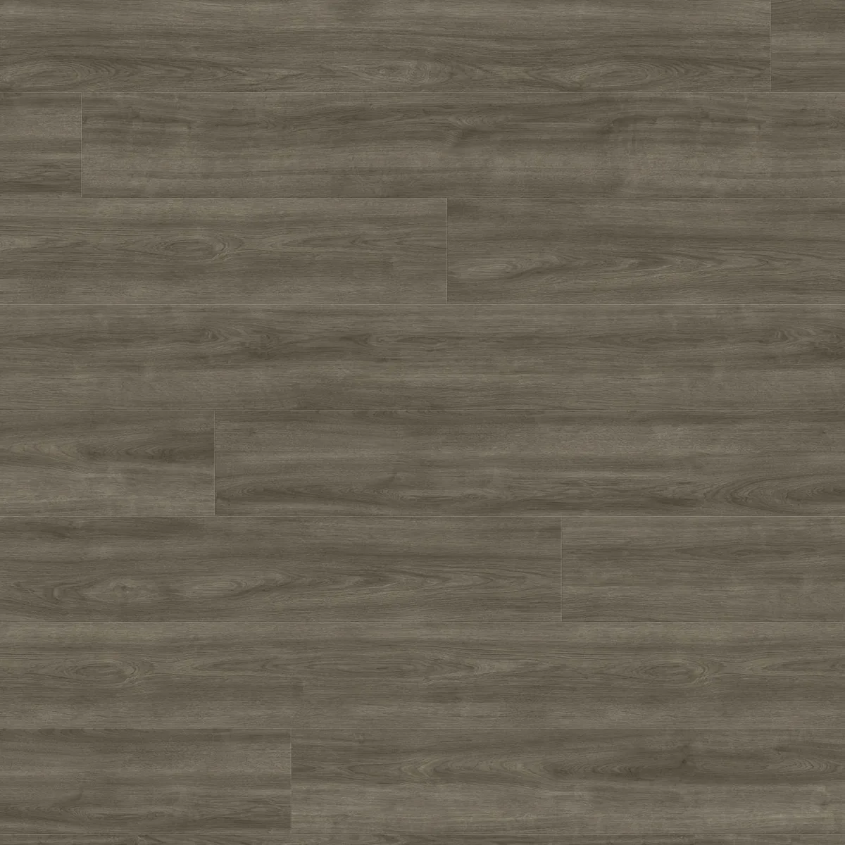 Oak Eleganza Antique Grey HARO TRITTY 200 Aqua laminate flooring