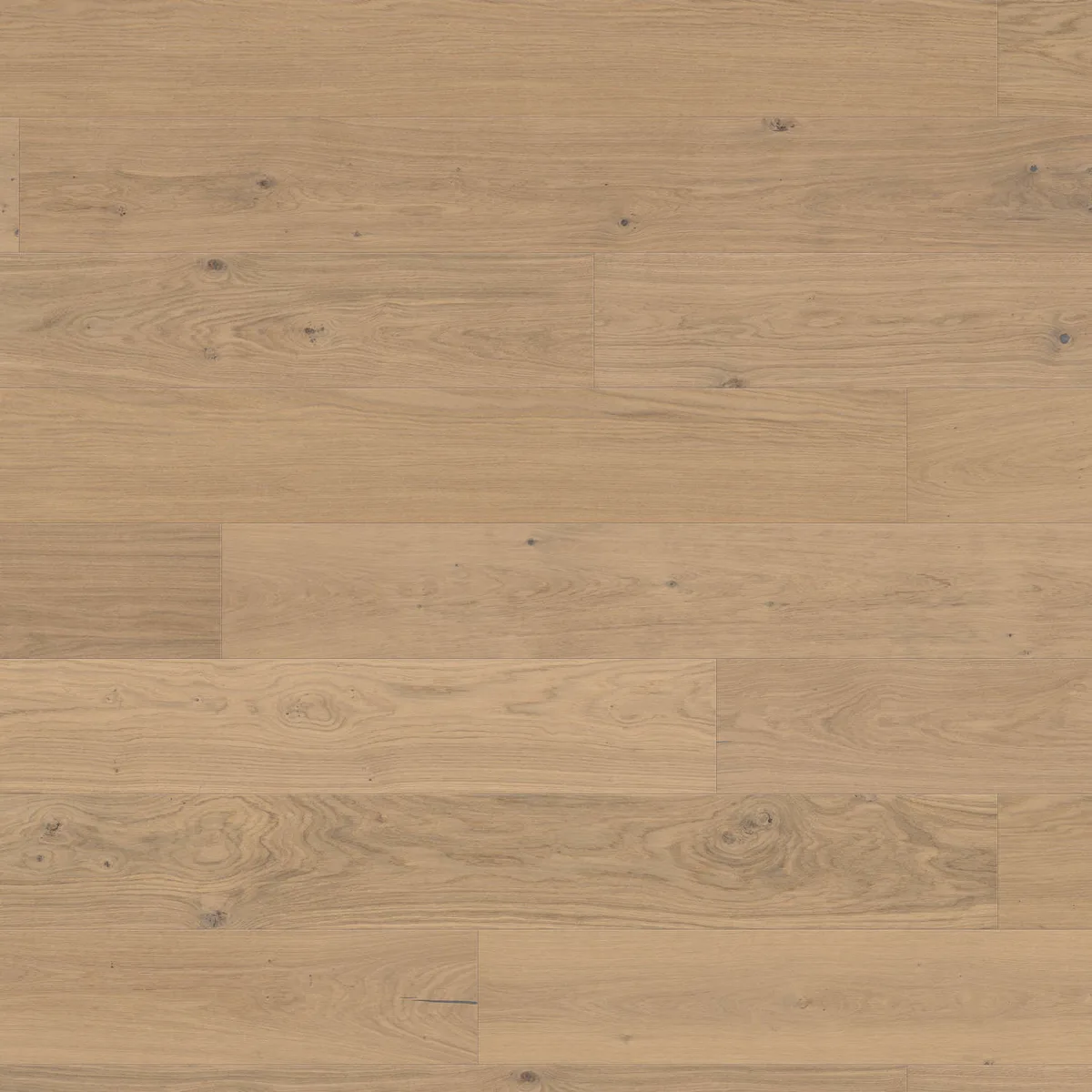 Oak Light White Sauvage Plank 1-Strip Plaza 240 engineered timber flooring