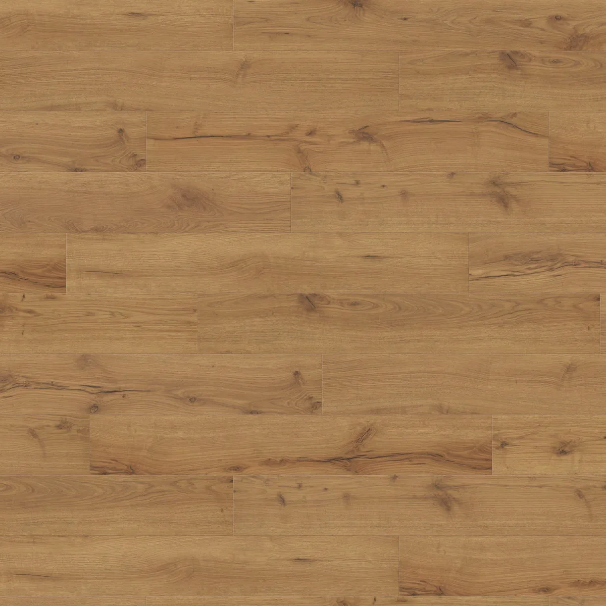 Alpine Oak Nature HARO TRITTY 100 laminate flooring