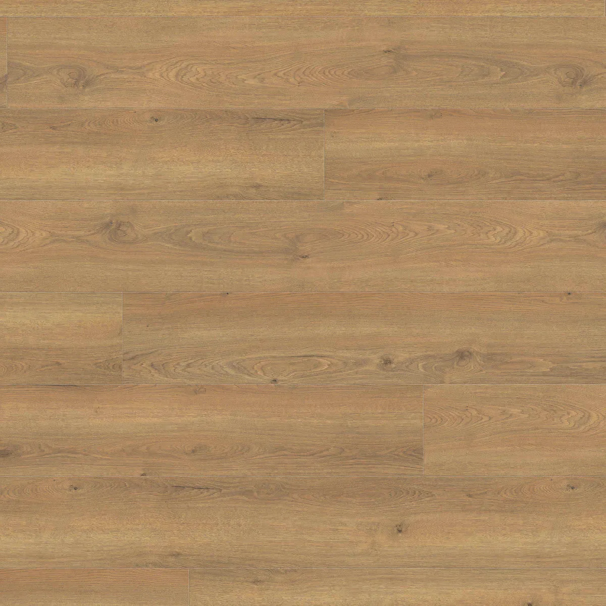 Oak Flavia Nature HARO TRITTY 200 Aqua laminate flooring