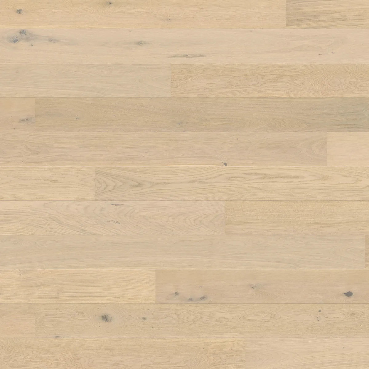 Oak Light White Universal HARO 2500 Series wall and ceiling panel