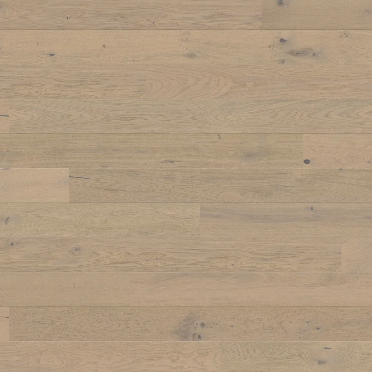 Oak Sand Grey Universal HARO 2500 Series wall and ceiling panel