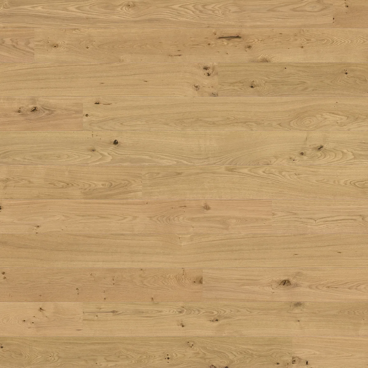 Oak Invisible Universal HARO 2500 Series wall and ceiling panel