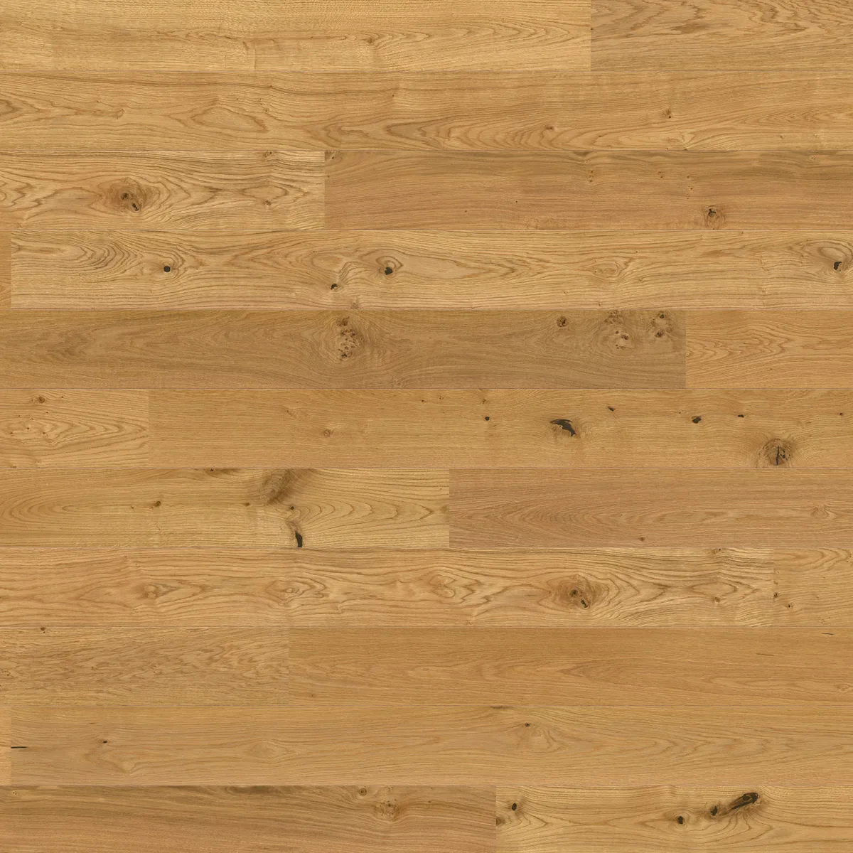 Oak Universal HARO 2500 Series wall and ceiling panel