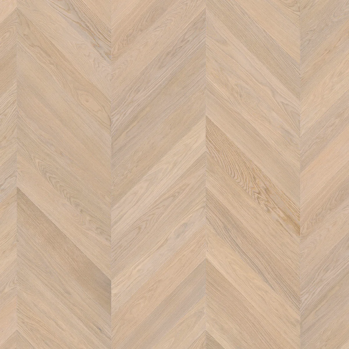 PM Chevron Oak white Selectiv HARO hand-finished flooring