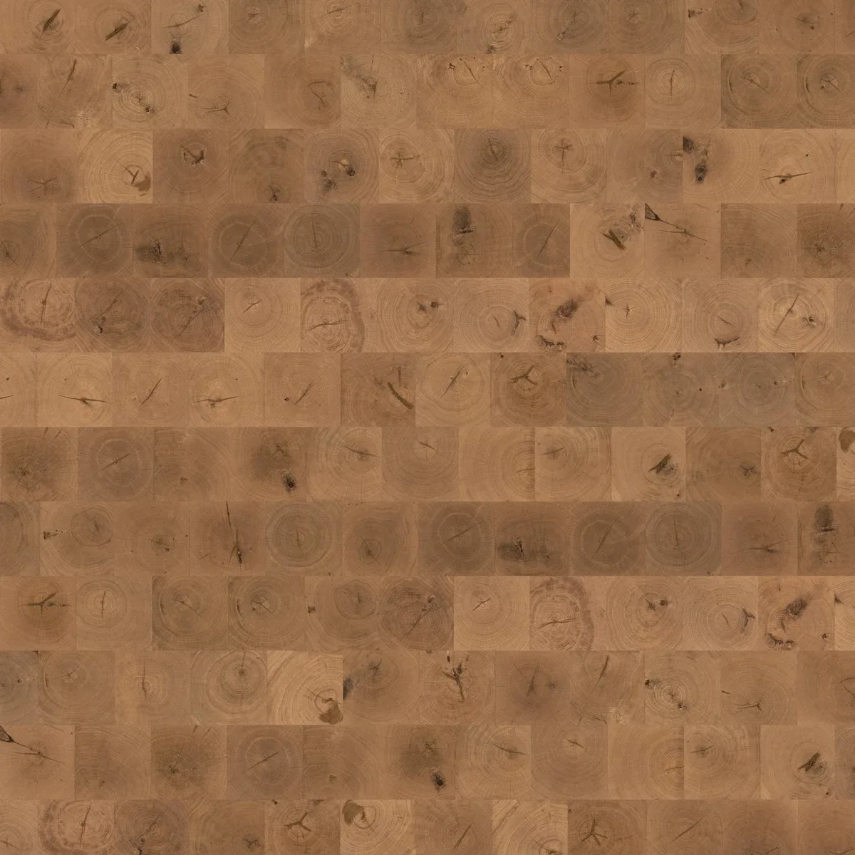 Carré Oak Selectiv HARO hand-finished parquet